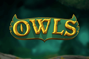 Play Owls